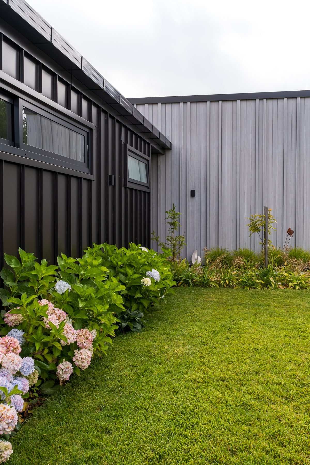 Garden detail against the dark cladding.