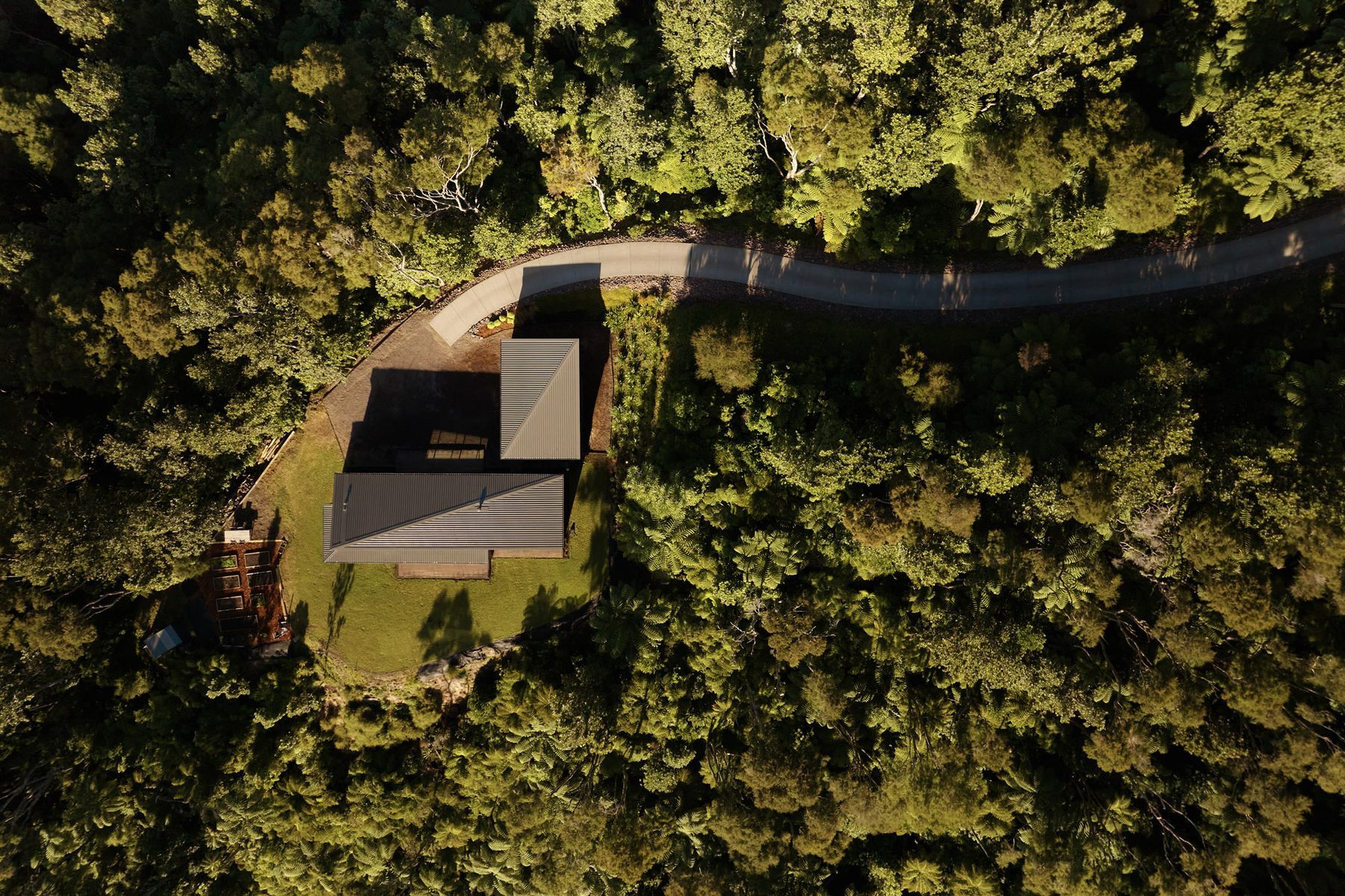 From above: the folded roofs settled in the bush of the Matatā Conservation Estate.