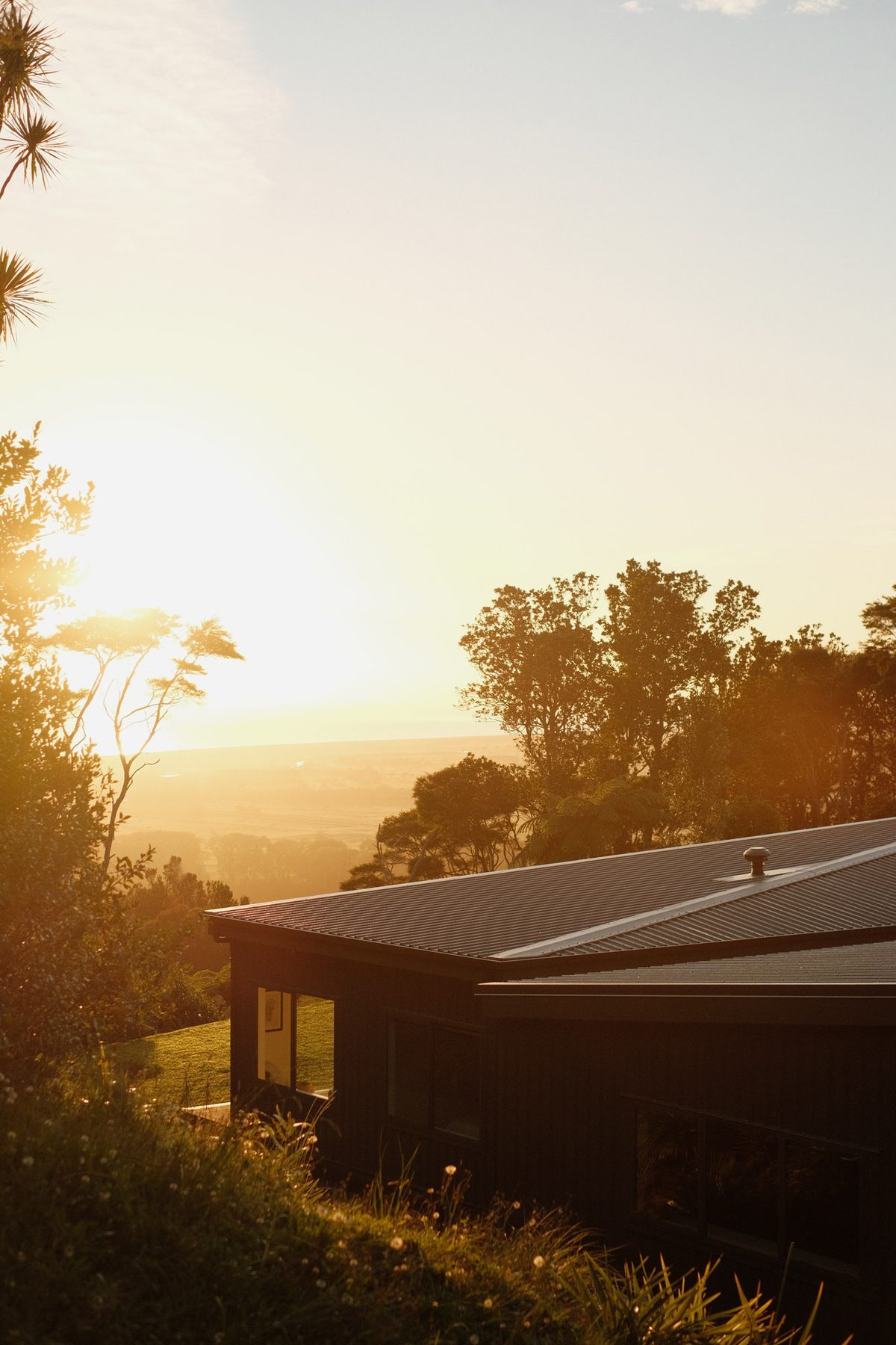 Sunset over the roofline and golden grass.