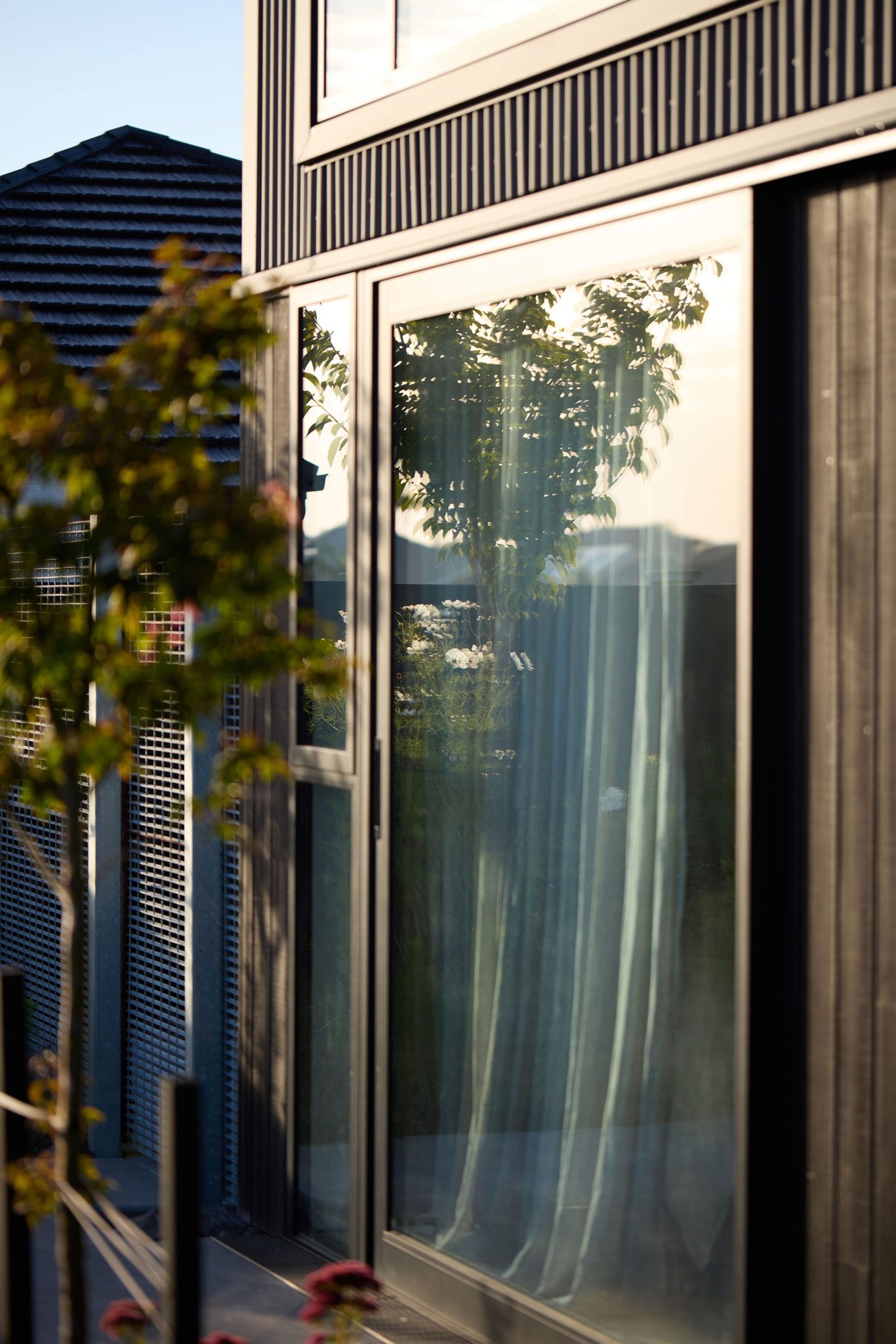 Reflections of trees on sliding doors