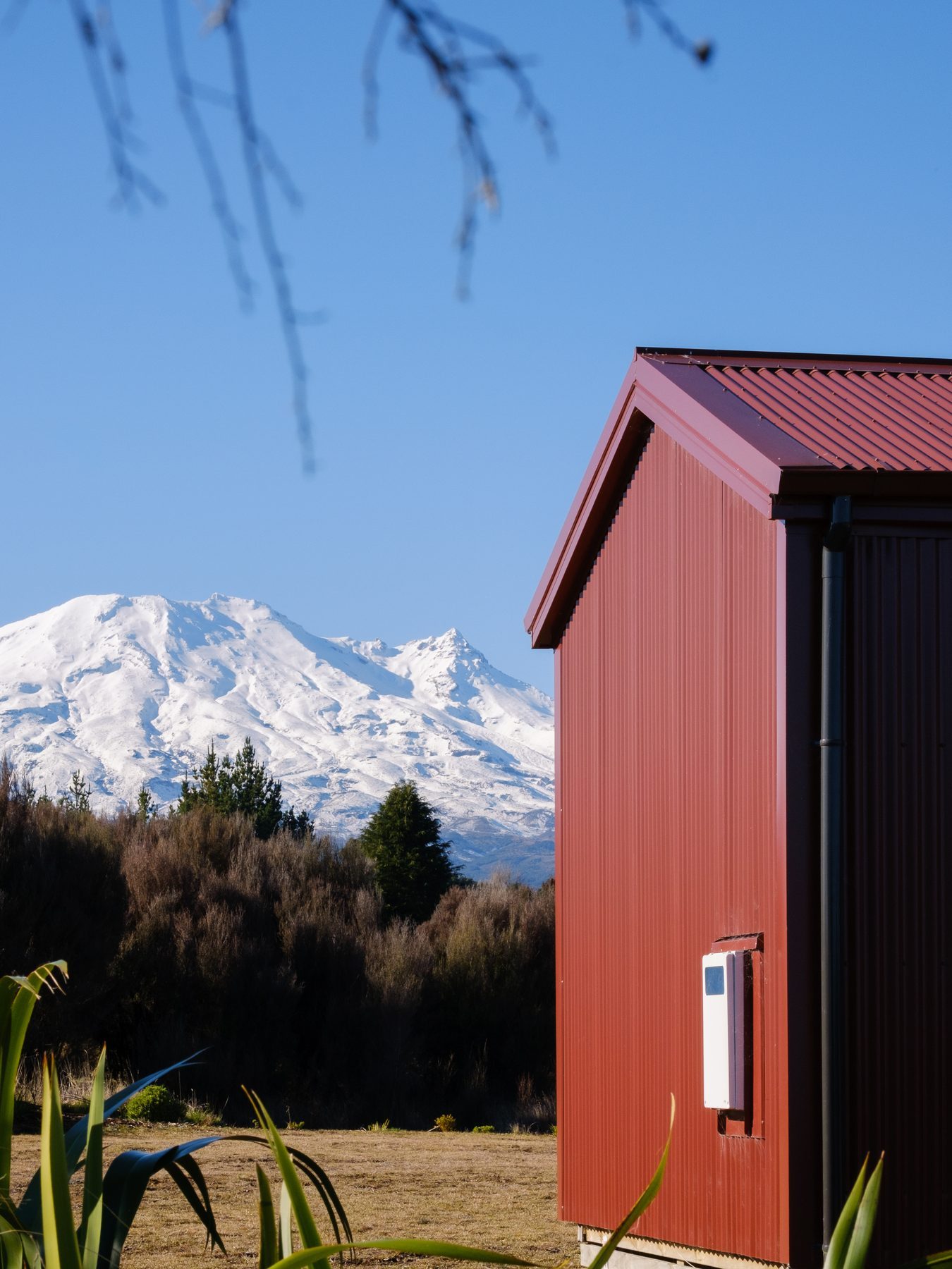 The Scoria-red gable against the tussock.