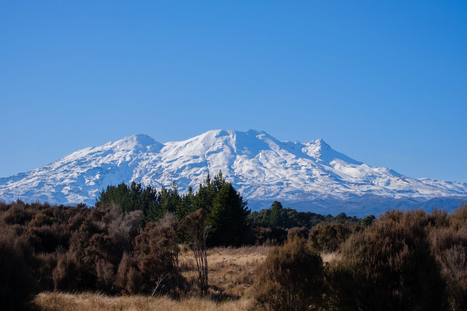 Mount Ruapehu from the site.