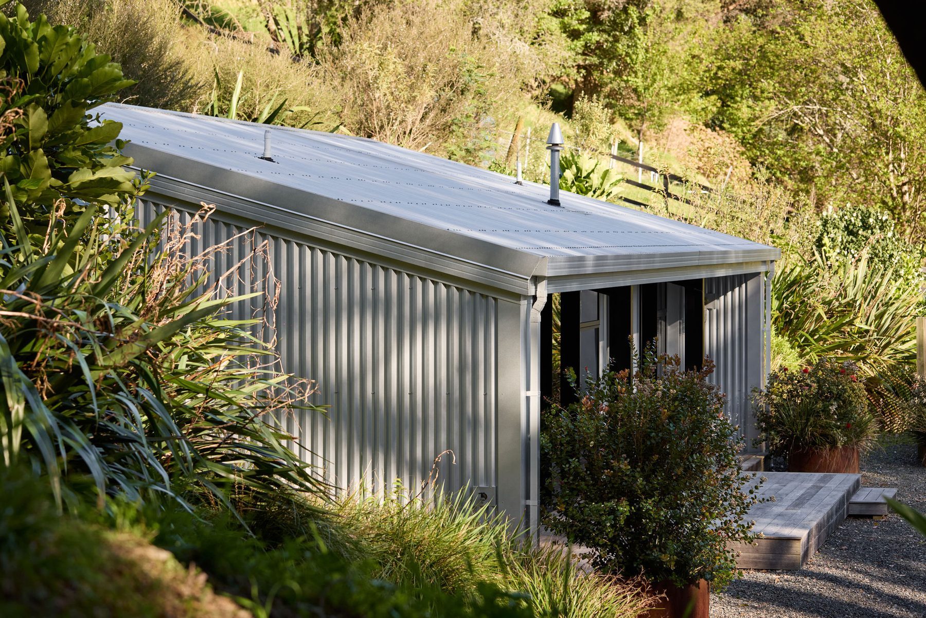 The roofline rising above the flax.